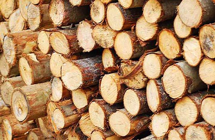 Bois de chauffage Valdallière