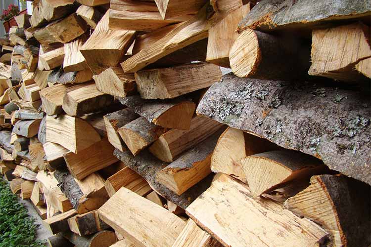 Vente de bois Valdallière